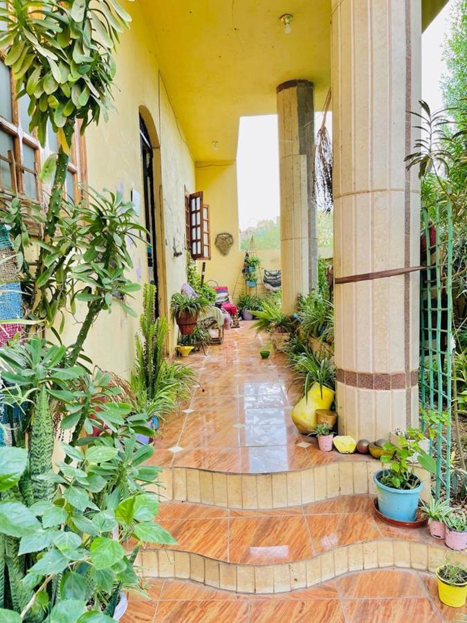 Апартаменты Luxor Nile View Flats Экстерьер фото